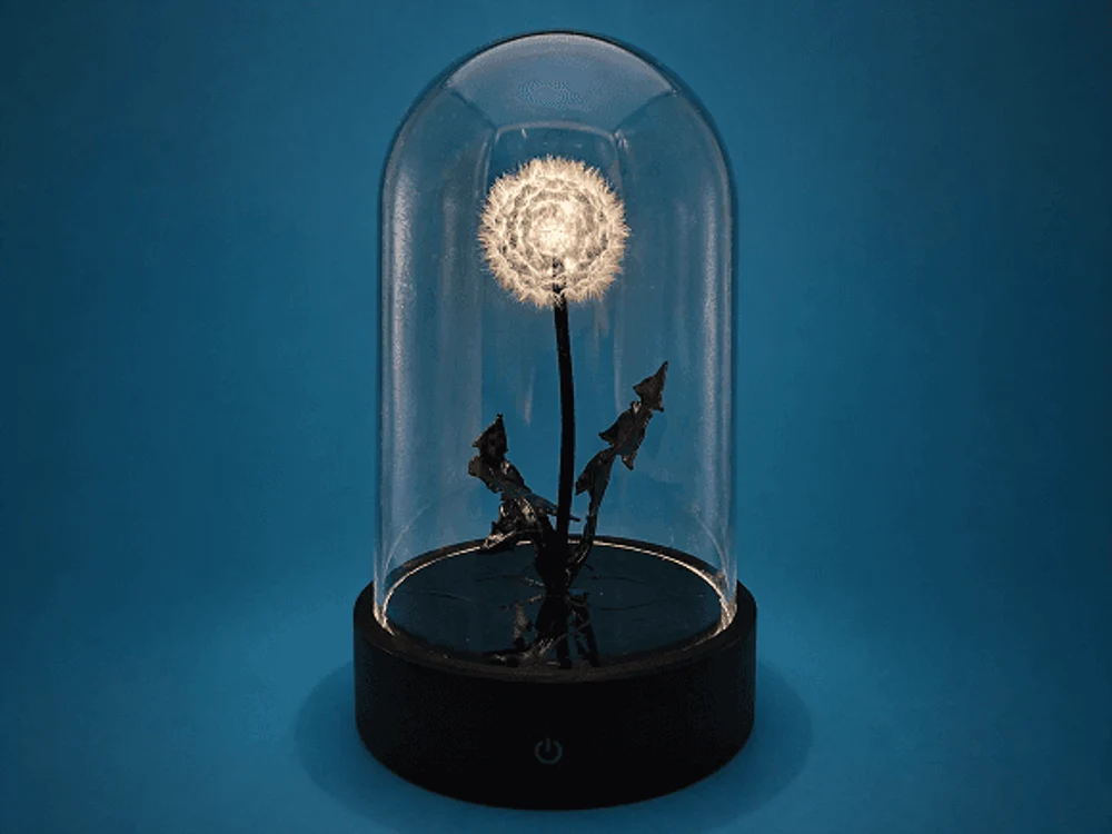 СТУДИЯ СВЕТОВОГО СТЕКЛА