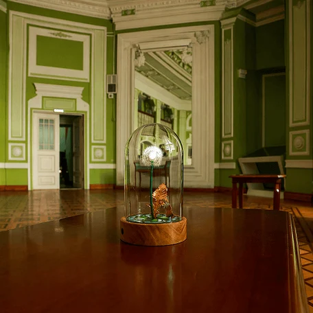 image-0-0